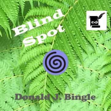Bingle Blind Spot